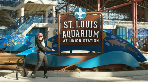 Everything You Want to Know about the St. Louis Aquarium at Union Station | stlMotherhood