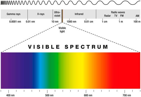 This is The Difference Between Infrared and Ultraviolet Radiation | Ultraviolet radiation, Ultra ...