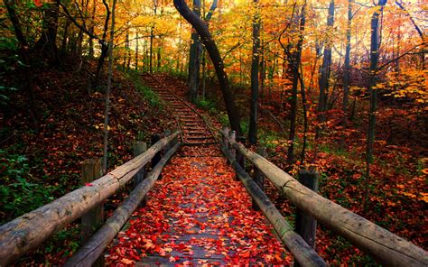 Bridge Autumn Wallpapers - Wallpaper Cave