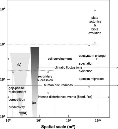 Relationship between spatial scale and temporal scale for natural and... | Download Scientific ...