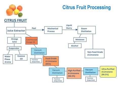 Juice Processing Line - Pineapple | Lemon | Citrus Fruits - Mech-Air