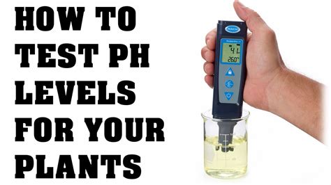 How To Use A PH Tester and Calibration - Testing PH In Your Water - YouTube