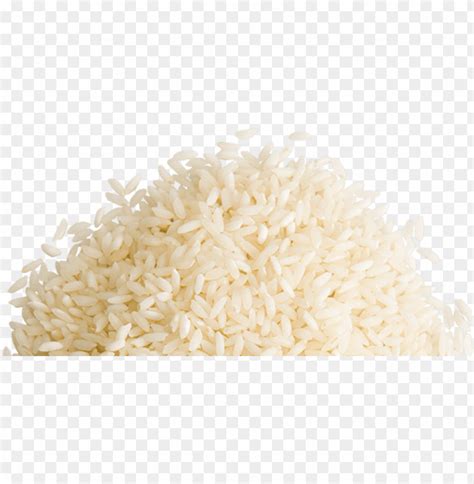 Rice Grains PNG Transparent With Clear Background ID 181324 | TOPpng