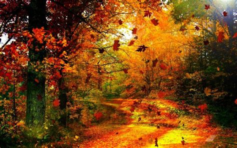 imagenes de paisajes de otoño para fondos de pantalla | Fall scenery pictures, Autumn scenery ...