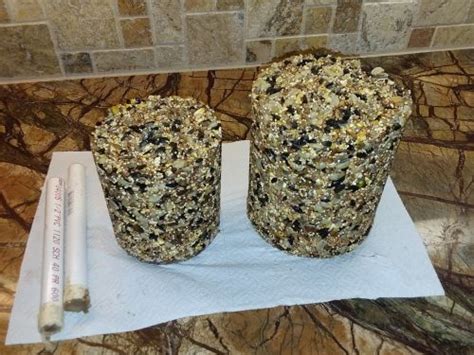 How To Make Your Own Seed Cylinders and Cakes For Your Bird Feeders ...