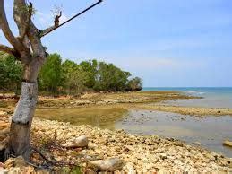 Madura Island - Google Search | Island, Archipelago, Beach