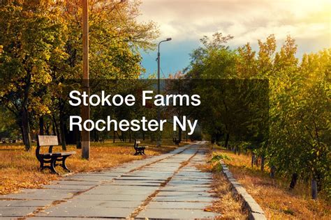 Stokoe Farms Rochester Ny - Rochester Magazine