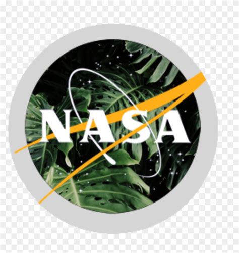 Aesthetic Nasa Logo, HD Png Download - 1280x1280(#311930) - PngFind