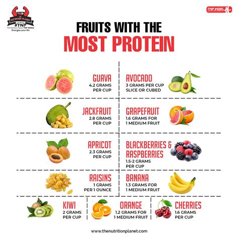 High Protein Fruits List