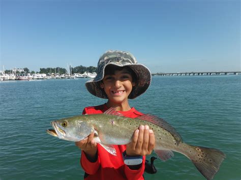 Siesta Key Fishing Charters | Fishing charters, Siesta key florida, Fish