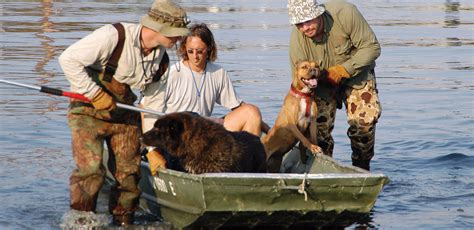 A Passion For Animal Rescue Inspires A Career | Carlson College of ...