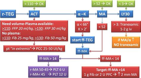 Coagulation support algorithm with rapid TEG and functional fibrinogen TEG in critical bleeding ...