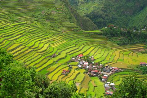 Photos that will make you want to visit Banaue Rice Terraces