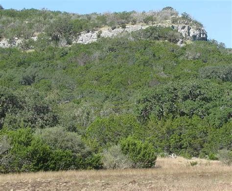 Edwards Plateau - Alchetron, The Free Social Encyclopedia