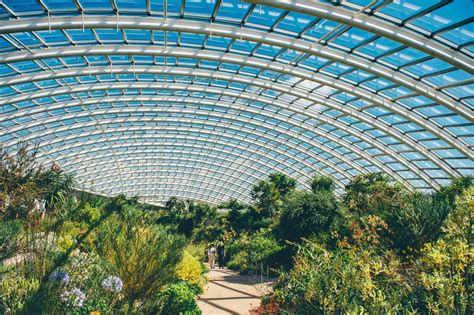 Great Glasshouse - National Botanic Garden of Wales