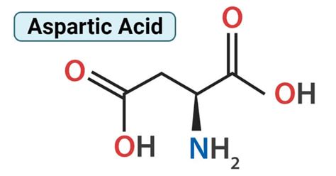 Aspartic Acid (Aspartate)- Definition, Structure, Properties, Biosynthesis, Uses