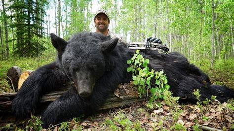 Black Bear Hunting Opportunities and Tips | Pure Hunting