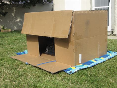 Fun Friday: Cardboard Box Fort - GoExploreNature.com