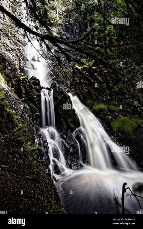 Plodda Waterfalls, Glen Affric, Scotland Stock Photo - Alamy