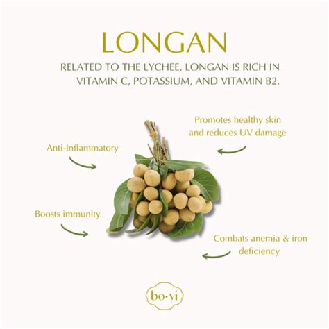 5 Health Benefits of Longan – Bo-yi