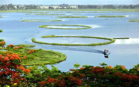 Keibul Lamjao, Manipur – World’s Only Floating National Park