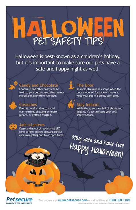 Halloween Pet Safety Tips from Petsecure | Halloween pet safety, Pet hacks, Halloween safety tips