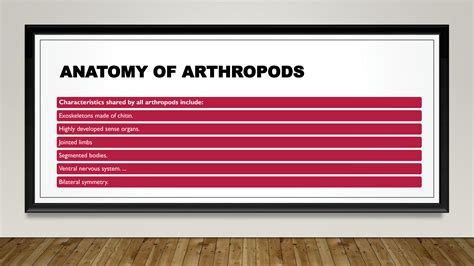 SOLUTION: Anatomy of arthropods - Studypool