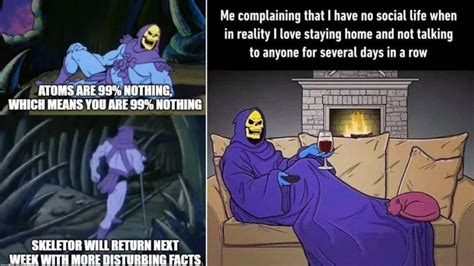 skeletor meme - cecille-crook