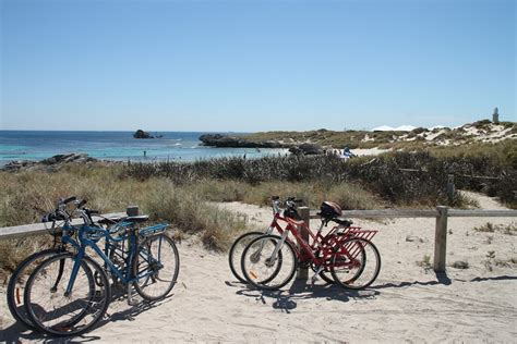 Rottnest Island Attractions for first-time visitors - West Australian ...