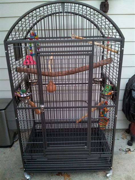 Where should I put my Eclectus' cage? - Page 3 - Parrot Forum - Parrot Owner's Community