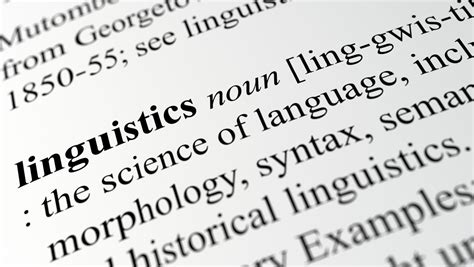 Linguistics paper selected as Editor’s Choice by top journal - Research - February 2020 Issue ...