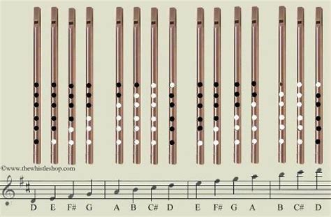 Competitivo Cementerio flotante c tin whistle finger chart Bajo solapa Creo que