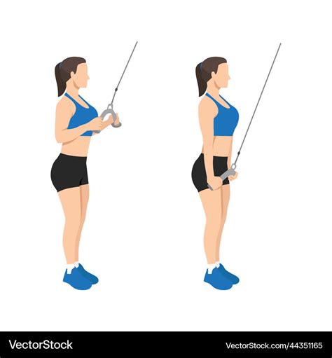 Woman doing cable tricep pull down or push Vector Image