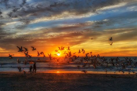 Venice Beach, Florida | Matthew Paulson Photography