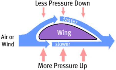 Bernoulli's Principle Real Life Examples