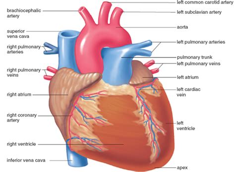 Pin on Difference between