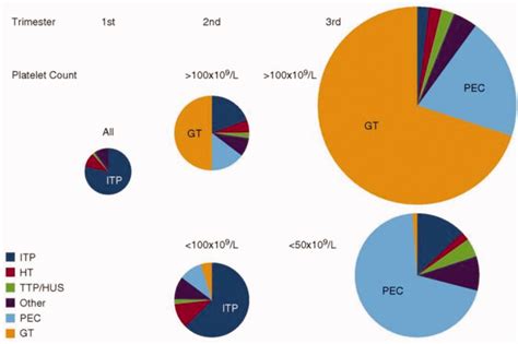 Prevalence of causes of thrombocytopenia based on trimester of ...