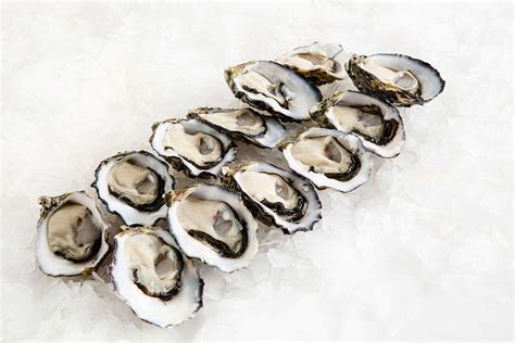 Pacific Oysters Large Delivery | Manettas Seafood