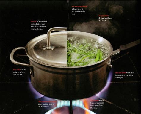 Modernist Cuisine: The Art and Science of Cooking | tuhinternational.