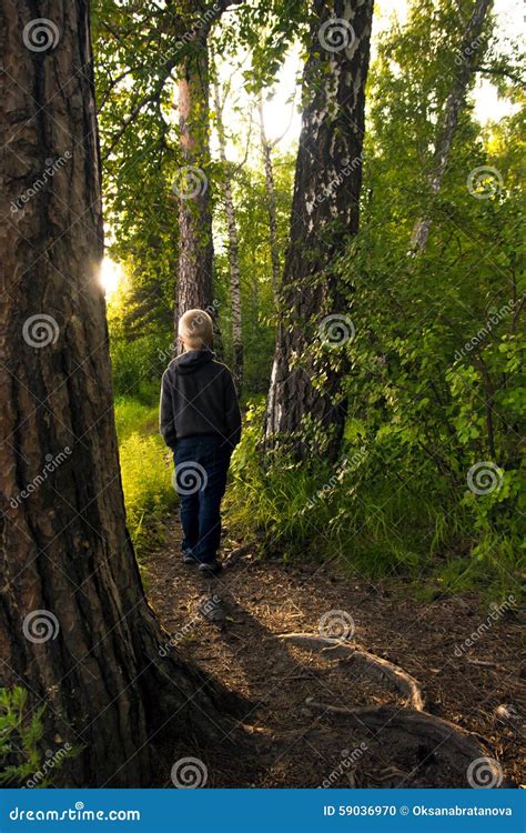 Child alone in forest stock photo. Image of camp, caucasian - 59036970