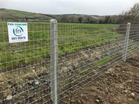 Wire fencing with concrete posts - FRS Fencing