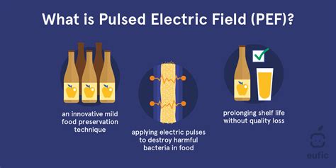 Mild food processing technology: the example of PEF - FOX