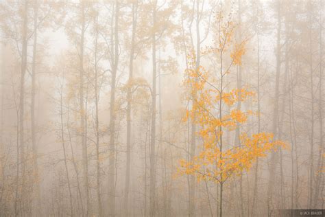 Colorado Fall Colors | Mountain Photography by Jack Brauer