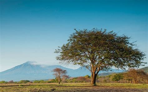 Java'daki Afrika: Baluran National Park | yoldaolmak.com