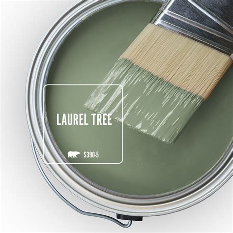 Laurel Tree - March Color of the Month | Colorfully BEHR