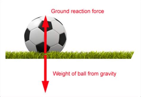 Contact and Non Contact Forces | What is Force? - Types of Forces