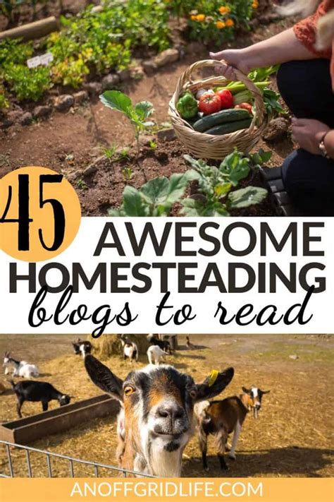 45 Best Homestead Blogs for 2024