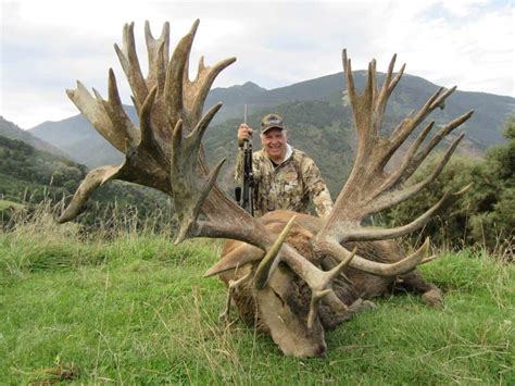 New Zealand Red Stag Hunting | South Pacific Safaris