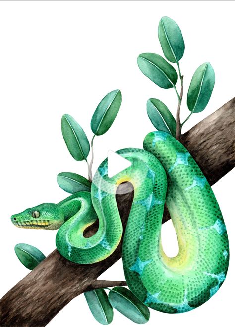 Emerald good tree in 2020 | Snake painting, Snake art, Snake drawing