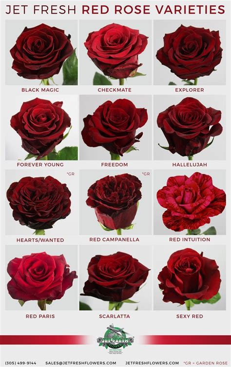 Everyone loves Red Roses. But which red rose do YOU love ... - #everyone #love #loves #Red #Rose ...